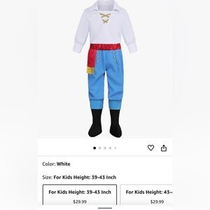Prince Eric 2t costume